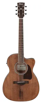 Ibanez AC340CE-OPN Naturel Artwood