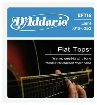 D'addario EFT16 light 12-53 bronze