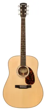 Larrivee D-09 Dreadnought Rose Artist