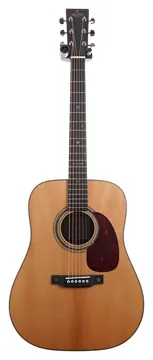 Sigma DT-1