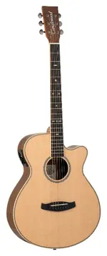 Tanglewood Reunion Pro 4 CE BW