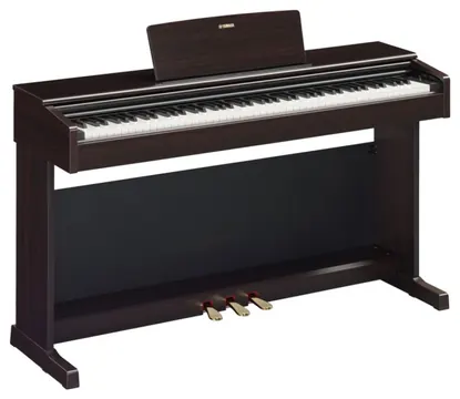 Yamaha Piano Yamaha YDP-145 R