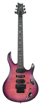 PRS SE Chleo Herman Li OD