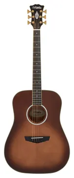 D'Angelico Lexington Auntumn Burst