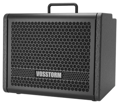 Vosstorm Cubo Guitarra Vosstorm Gx-8 25w Falante 8" (3222)