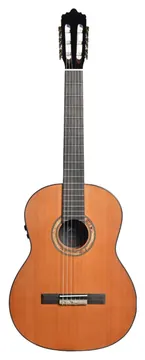 Seizi Supreme Yatta Mirai Cedro Natural