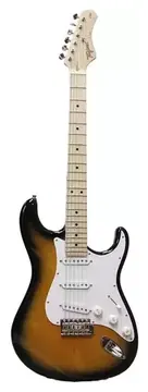 Tagima Strato T-800