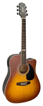 Giannini Folk Honey Burst GF1D HB