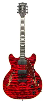 Waldman GHO220Q RD Semi Hollow Red