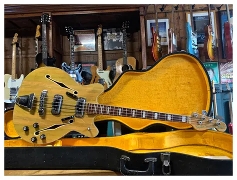 Fender Coronado II Bass Wildwood 1967