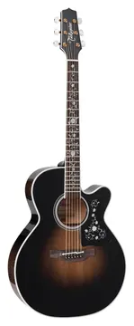 Takamine NEX Cutaway EF-450C TT TBB - Takamine