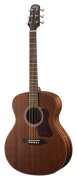 Walden Electroacustica Cordas Aço Natura G551E