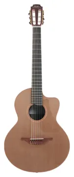 Lowden S25J Jazz Nylon Crossover