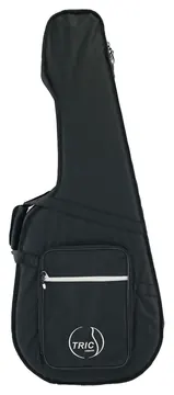 Godin Tric parlor Case
