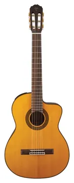 Takamine GC5CE & TP4T