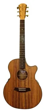 Cole Clark TL2EC-BLBLR