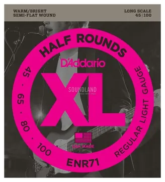 D'Addario ENR71 045-100