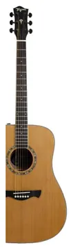 Tagima TLM-100 NT - C/Bag