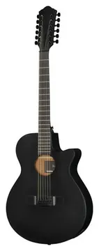 Ibanez AEG1221-BOT
