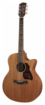 Richwood G50CE grand auditorium gitaar met element