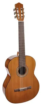Salvador Cortez Solid Top Artist Series classic guitar CC-22