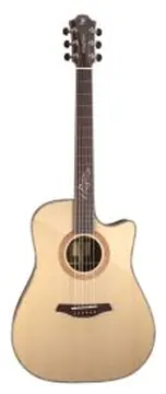 Dreadnought Cutaway Palissandro
