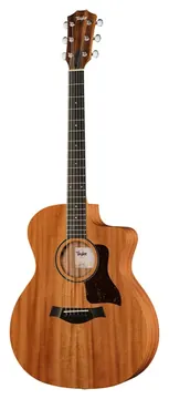 Taylor 24ce