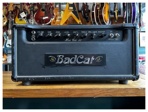 Bad Cat Hot Cat 30 Head 2007
