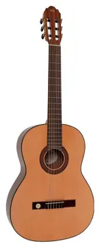 VGS Klassieke Gitaar Pro Arte Gc 210 A 4/4