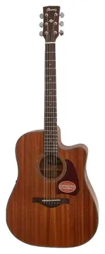 Ibanez Westerngitarre ARTWOOD SONDERMODELL - OPEN PORE NATURAL (AW240ECE-OPN)