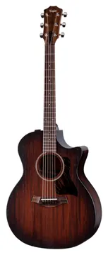 Taylor AD24ce