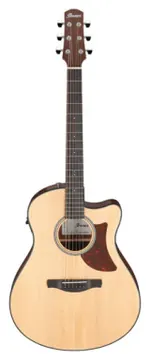 Ibanez AAM50CE-OPN