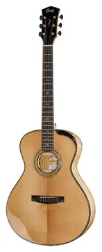 Cort Gold Passion