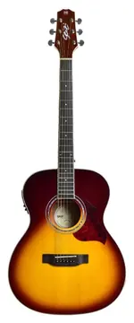 Seizi Hiro Brown Burst
