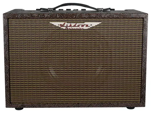 Combo Para ASHDOWN WOODSMAN 40W