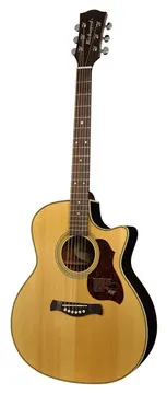 Richwood Master Series G-65-CEVA handmade grand auditorium guitar