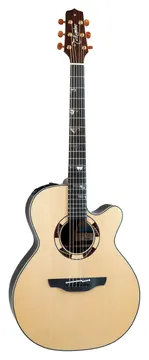Takamine NEX Cutaway TSF-48C N CTP-3C - Takamine