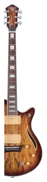 Michael Kelly Hybrid Special Spalted Burst