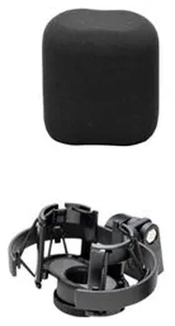Austrian Audio OC818-STUDIO Micro Multi Directionnel Large Diaphragme