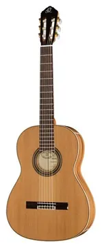 Ortega R20GRG-L