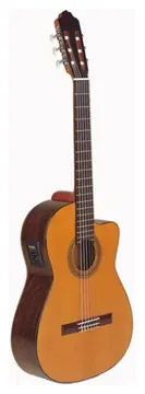 Esteve Model 3ECE Electro Classical