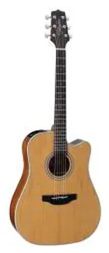 Takamine GD20CE-NS Natural Satin