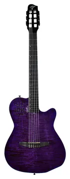 Godin ACS Nylon Steve Stevens 25th Anniversary Ltd