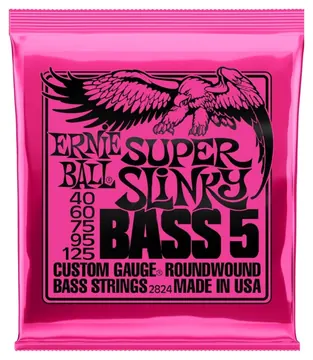 ErnieBall Ernie Ball 2824