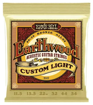 Ernie Ball 2007 Earthwood Custom Medium 80/20 Bronze 11.5-54