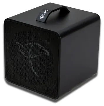 Belcat Busker Akustik Amp black