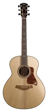 Taylor Gold Label 914e Natural