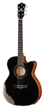 Harley Benton CLC-650SM-CE BK Solid Wood