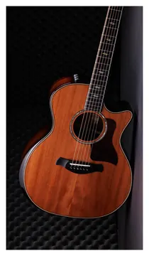 Taylor 814CE 50TH Anniversary Builders ED LTD