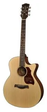 Richwood Master Series handmade grand auditorium guitar, G-20-CE